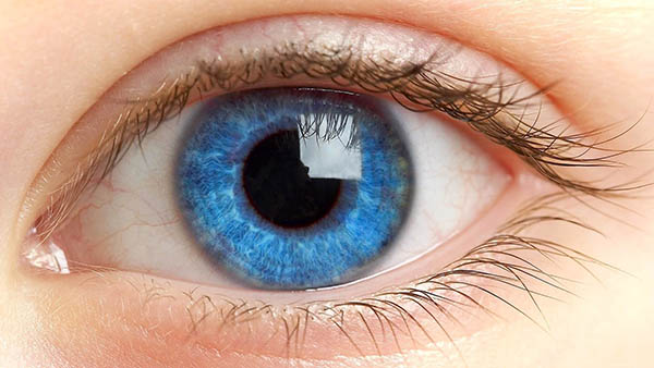 قطره چشم تری فلوردین برای درمان التهاب بافت چشم کاربرد دارد.