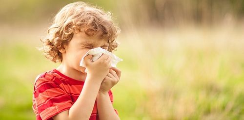 آلرژی‌ها نقش مهمی در عطسه کودکان ایفا می‌کنند، به خصوص حساسیت‌های غذایی و هوایی. حساسیت‌های غذایی می‌توانند باعث ایجاد عطسه در کودکان شوند.