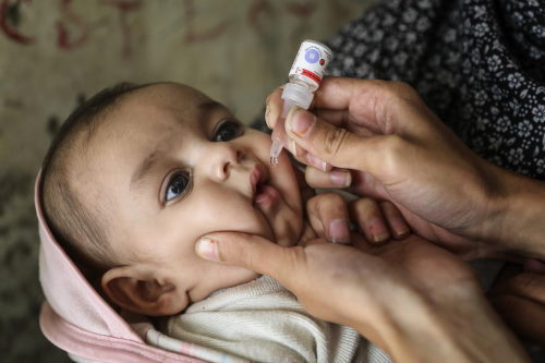 والدین در حال خوراندن قطره فلج اطفال به نوزاد هستند.
